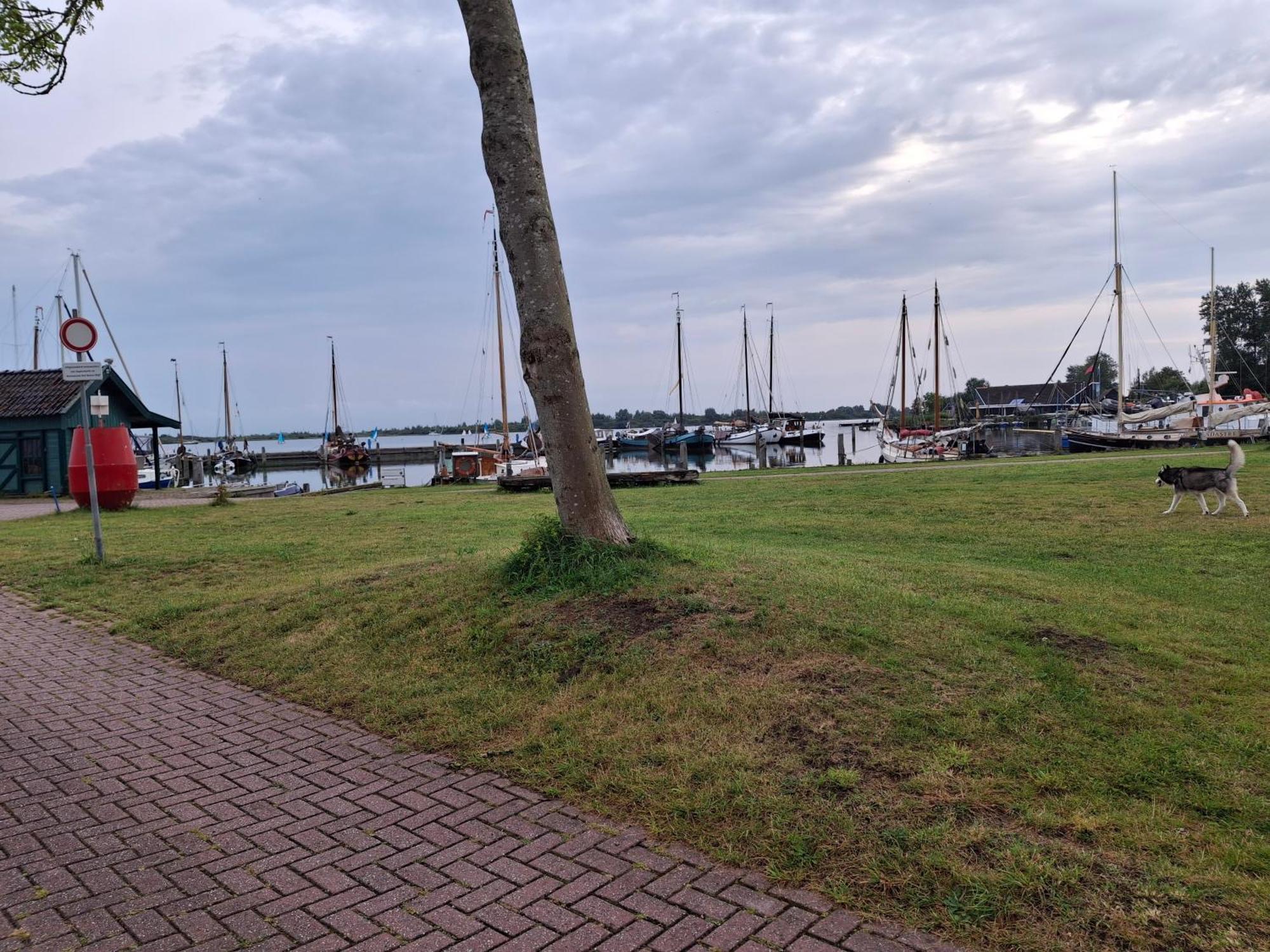 Chalet Babbelaar 6 - Premium Locatie Lauwersoog Zewnętrze zdjęcie